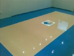 POLYURETHANE & EPOXY FLOOR COATINGS, Burrow Engineering, This concrete floor was diamond ground followed by several coats of coloured polyurethane.
The logo was painted on and a final coat of clear polyurethane was applied, 195